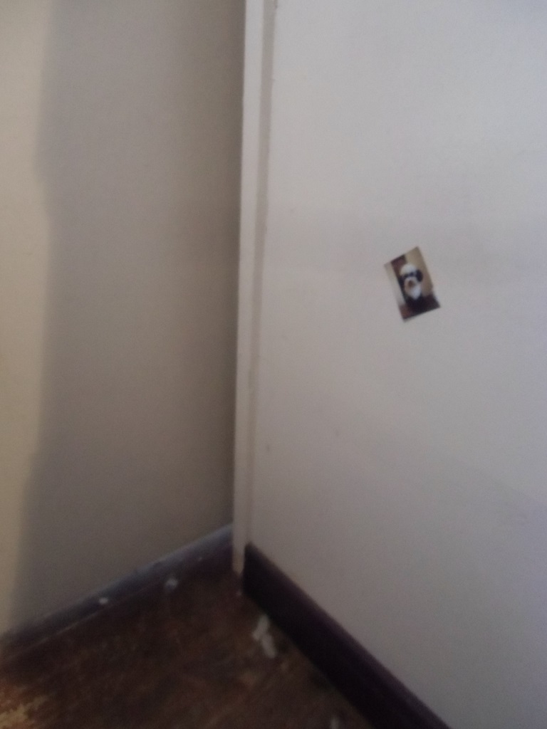 b0199050_951750.jpg