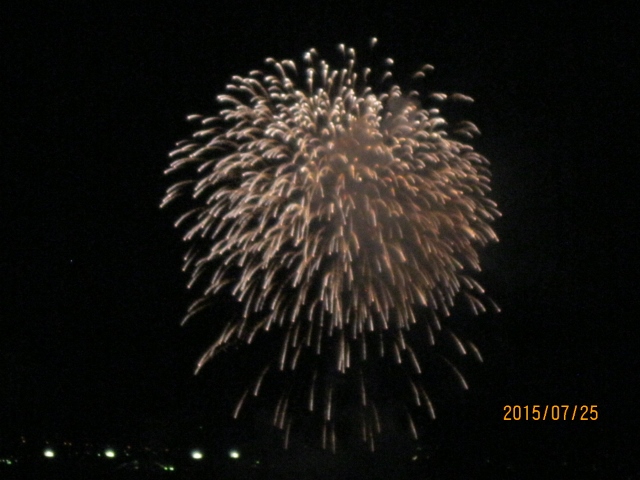 木津川の花火大会 はあぶやルリちゃんのブログ 木津川の花火大会 はあぶやルリちゃんのブログ