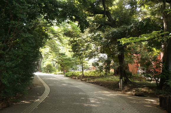 f0257756_10315984.jpg
