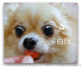 b0112758_16155257.png