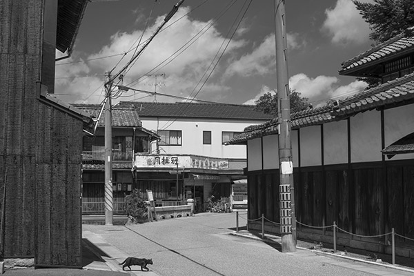 2015/07/28 岡山、西大寺散歩:その1_b0171364_10283722.jpg