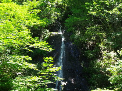 天空の楽園、苗場山（長野県下水内郡栄村）_d0182075_3514958.jpg