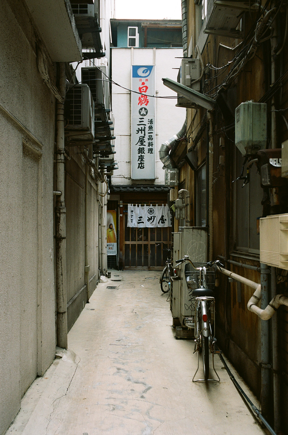 f0121181_1141756.jpg
