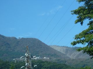 2015年7月28日 海と空のギャラリー_b0098584_2132576.jpg