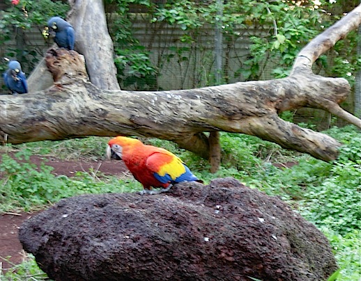 c0229584_14102116.jpg