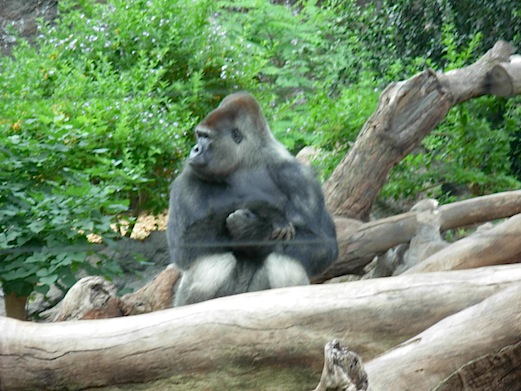 c0229584_14141872.jpg