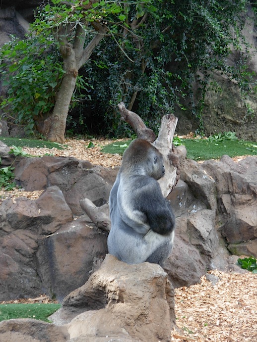 c0229584_1416420.jpg
