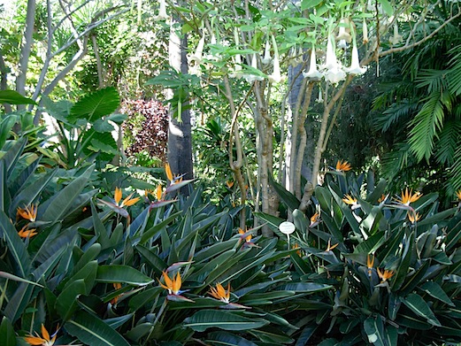 c0229584_18525960.jpg