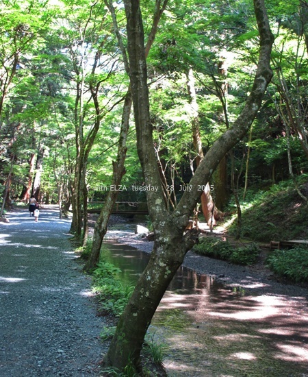 c0324285_18321547.jpg