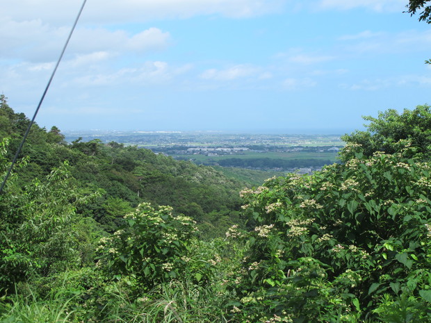 a0166196_10012.jpg