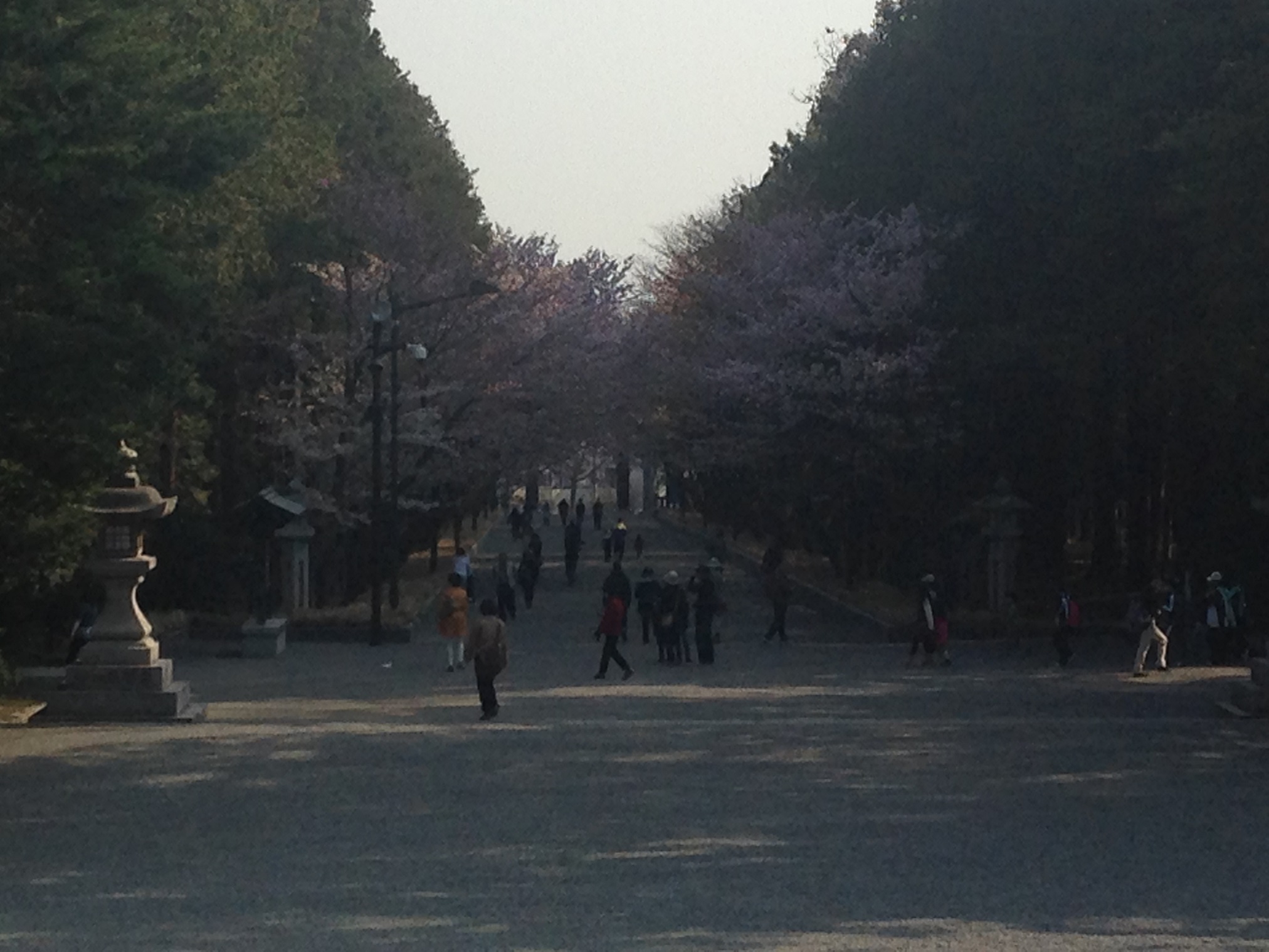 神社仏閣_c0072801_1374352.jpg