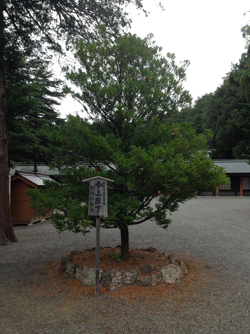 神社仏閣_c0072801_1535091.jpg