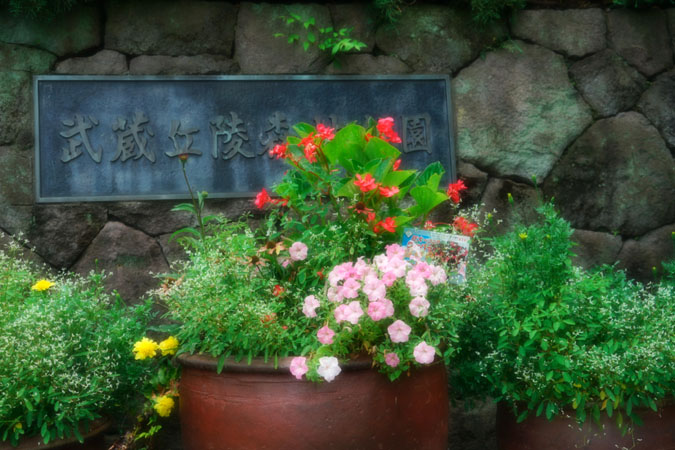 a0263109_12254280.jpg