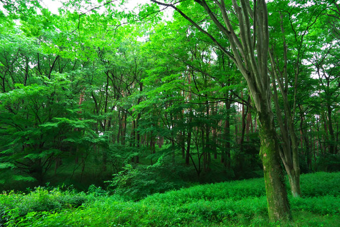 a0263109_12254720.jpg