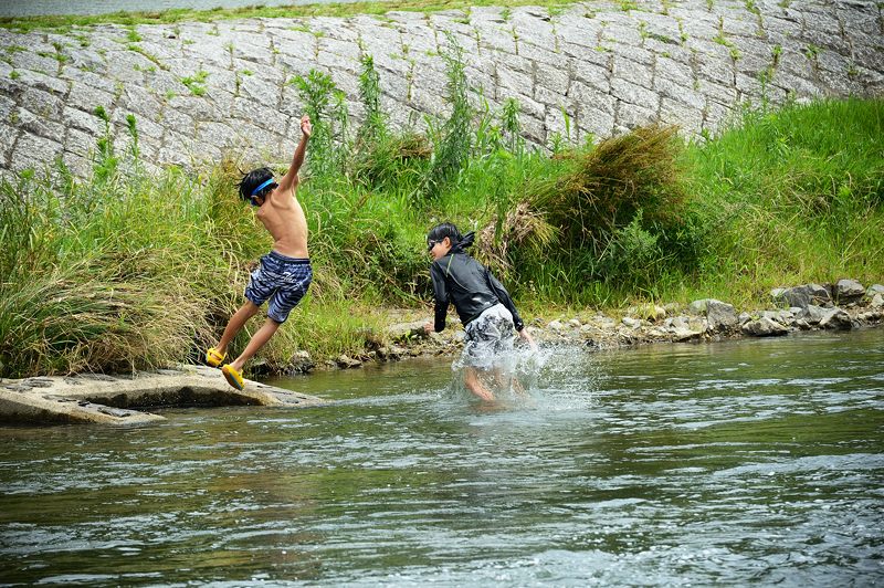 鴨川のサギ_f0032011_2002227.jpg