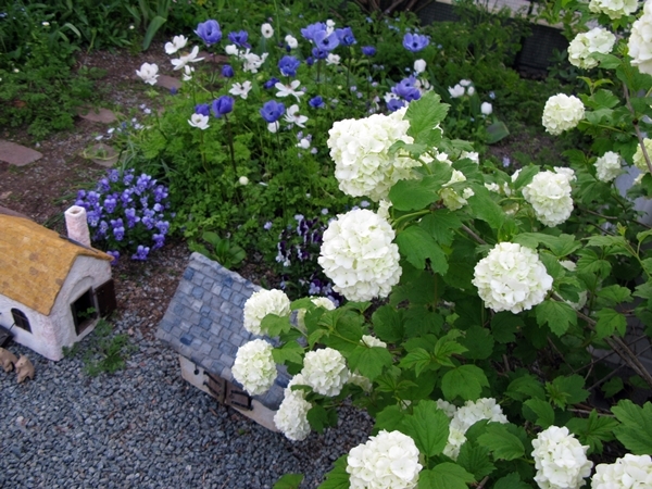 ライムライト_f0129726_22262974.jpg