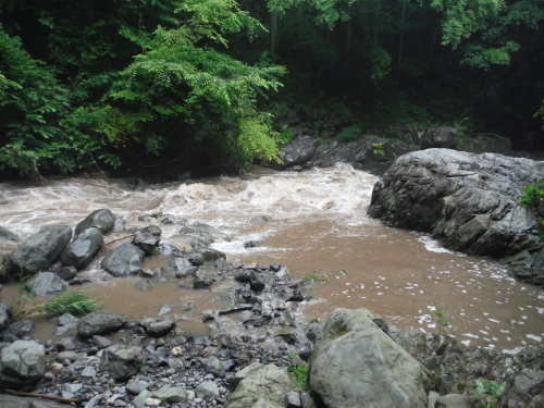初めてのK川T川釣行 その1_c0149633_12212450.jpg