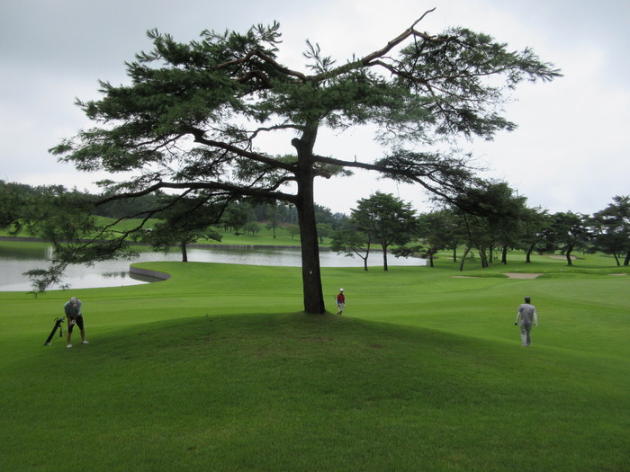 雨。。。中条ゴルフ俱楽部　温泉最高！！　ＰＲＧＲ　ＥＧＧ i＋ＵＴ　５番も良し！_c0117936_21532060.jpg