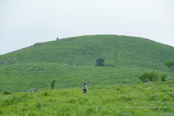 憧れトレッキング In 秋吉台 龍護峰 きまぐれ 風音 Kanon