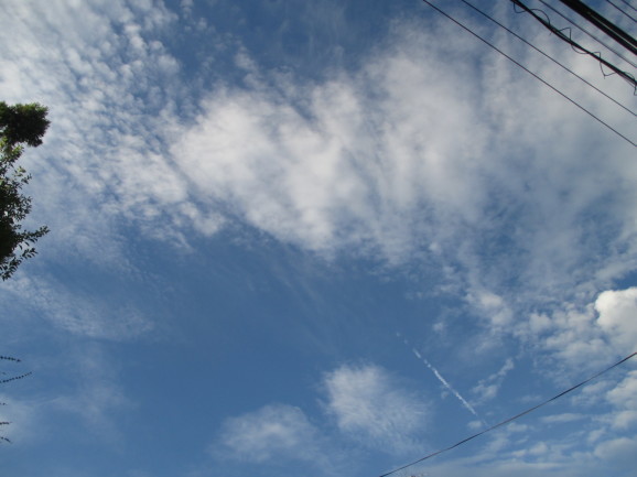 a0307846_09345766.jpg