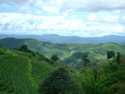 e0135246_16332571.jpg