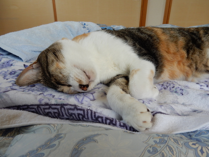 ’15、7,29(水)BBHでアフタヌーンティ!_f0060461_1036566.jpg
