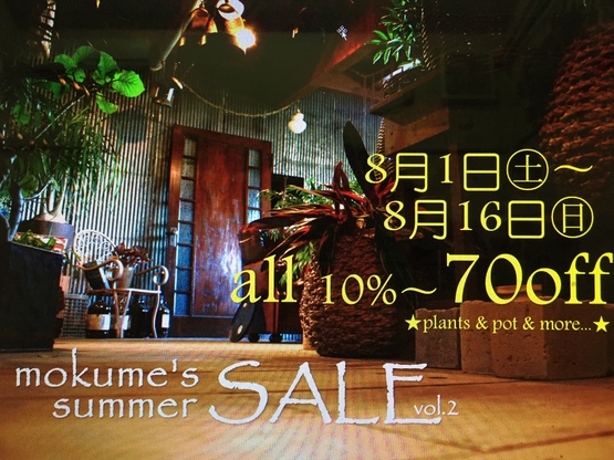 mokume\'s summer sale vol.2!!!!!!!!!_a0125667_12211662.jpg