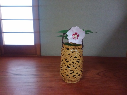 ７月お稽古１ 桑小卓 茶の湯 好楽軒