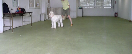 e0161972_16242451.png