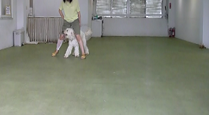 e0161972_16322328.png