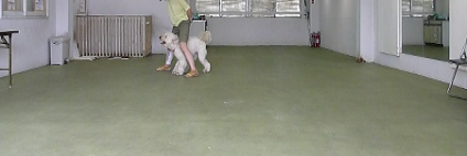 e0161972_1635470.png