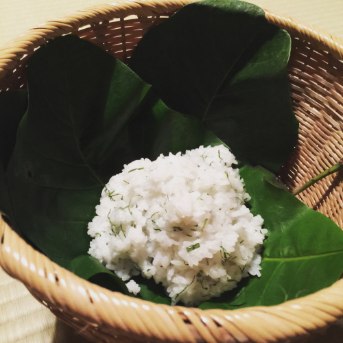 盛夏の朝茶事のお稽古_e0326573_19275232.jpg