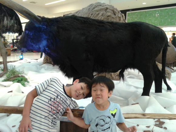 サンパウロから!と奥田民生_c0023278_1171033.png