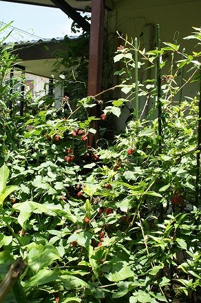 b0207497_2259481.jpg