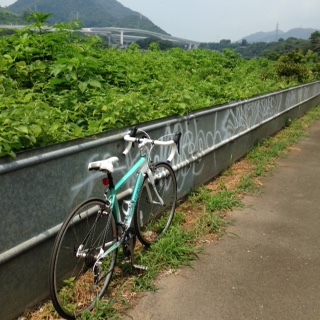 f0147604_16333780.jpg