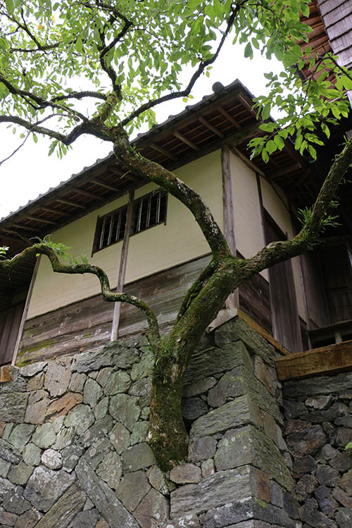 臥龍山荘_d0168406_823404.jpg