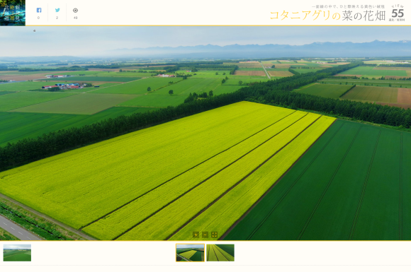 c0223508_11573146.png