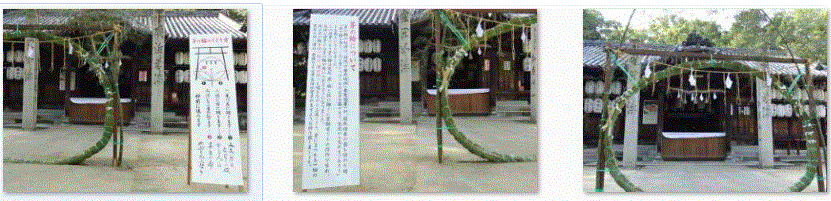 f0231709_2313477.gif