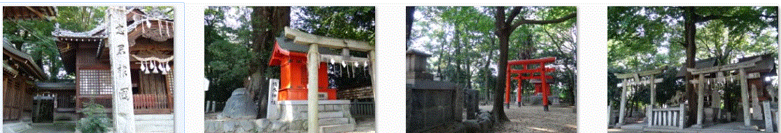 f0231709_2342734.gif