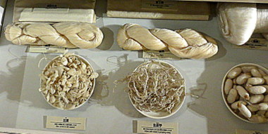 f0205317_92871.jpg