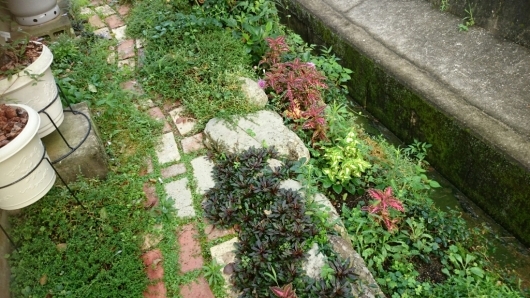 e0263224_00154927.jpg