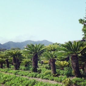 f0309325_14025372.jpg
