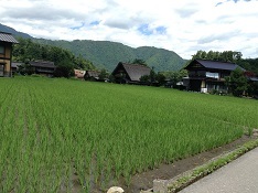 世界遺産の合掌造り大田屋さんに泊まる~白川郷を訪ねて~_b0211926_13443939.jpg