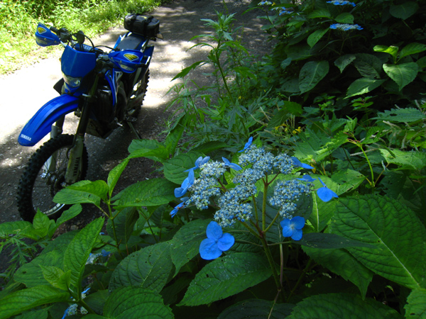 盛夏の福島・栃木県境林道ツーリング　（WR250F）_f0126932_221329100.jpg