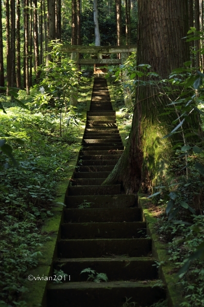 日光　木もれびの里 箏路(ことじ)の蕎麦～高龗(たかお)神社へお礼参り_e0227942_22023535.jpg