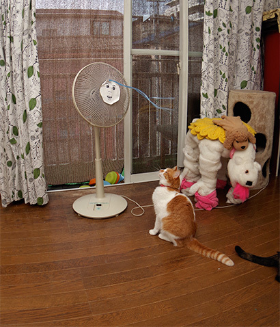 猫らが退屈そうだったので、扇風機を見て思いついた_a0028451_12531858.jpg