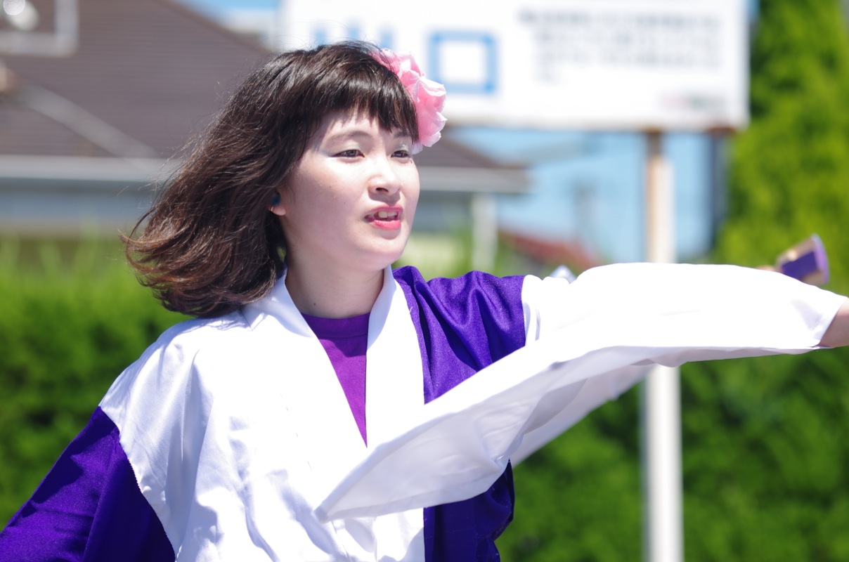 斐川だんだんよさこい２０１５その２（松江よさこい連　國美輝）_a0009554_223523.jpg