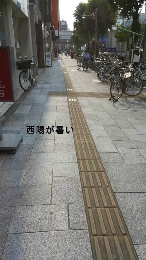 f0200871_1610476.jpg
