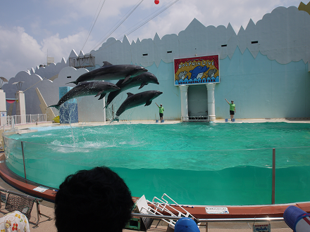 d0238083_017889.png