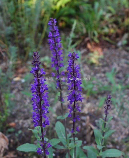 c0324285_18413752.jpg